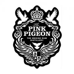 pink pigeon 